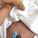 세화당약국 이미지