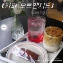 까페꽃향 이미지