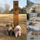 동로현복지센터 | 서울 애견동반 가볼만한곳 주말나들이 서울식물원 공원 산책 주차 추천