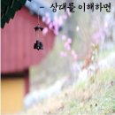 상대서로 이미지