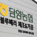 담양농협 블루베리가공공장 이미지