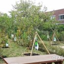 삼호중앙초등학교 이미지