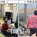 해돋이새뜰마을 이미지