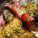 바다생각 이미지