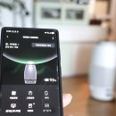 장위28 | 식물도 사람도 숨 쉬는 공간, 나무엑스 Air Solution 후기