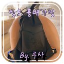 한복 가방 돌실라인의 쌍호 흉배가방 후기