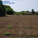 시흥리-6 이미지