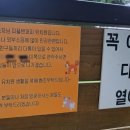 피플앤 퍼피 이미지