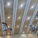 국립대구청소년디딤센터 화장실 | 구미근교아이랑 가볼만한곳, 상주 국립낙동강생물자원관 키즈카페보다 알찬 실내외 코스