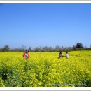 혼저옵서예 이미지