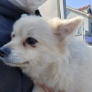 부강자동차공업사 이미지