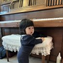 채은피아노 이미지