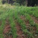 천지인장묘 이미지