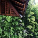 경도여인숙 | <동국사>우리나라에서 유일한 일본식 사찰/군산근대역사문화벨트 구불길(탁류길)투어 - ⓔ