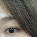 부드러운 인상을 갖고 싶다면 눈썹 염색 추천! 졸렌 크림 블리치 마일로 눈썹 탈색 후기