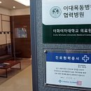 김포리아한의원 네이버블로그