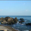 2020 태화강 빛 축제 이미지