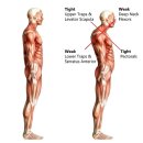요가디야 이미지