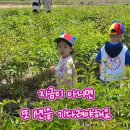 도연농장 네이버블로그
