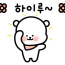 니드헤어(Need hair) 네이버블로그
