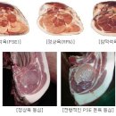 고기닷컴 이미지