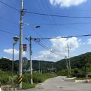 숲 속의 갤러리, 용인 고기리 카페 허그포레스트