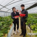 이종철 농장 이미지