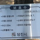 당진-합덕성당 合德聖堂﻿ 이미지