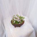 상봉동-023 이미지