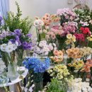 [대전꽃집] 플로스유화에서 만난 감동적인 꽃다발 후기 💐