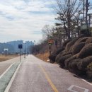 대평면 자전거도로 이미지