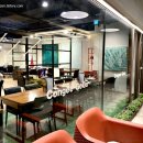 칸지고고 이미지