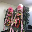 행운직업소개소 - 광진구 천호대로 569 | 행운직업소개소