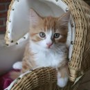 의정부종합동물병원 이미지