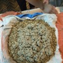 서초소망한의원 | 담낭암 복막전이, 뜸치료로 복막암 극복한 62세 감동 실화