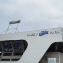 합천삼성병원 앞 | 대구삼성라이온즈파크 으뜸병원 중앙테이블석 TC-3구역 시야 직관후기