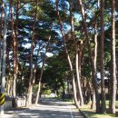 후포면사무소 이미지