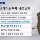맘모스 티스토리