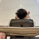 하귤소담 이미지