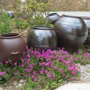 선운사펜션 이미지