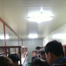 정착농장 이미지