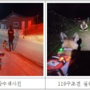 중앙119구조본부(호남119특수구조대) 이미지