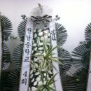 유현순 이미지