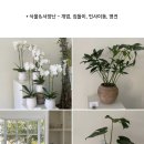 유토피스트 이미지