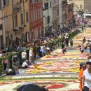 송정동-19 이미지