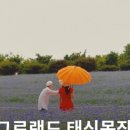 은봉목장 네이버블로그
