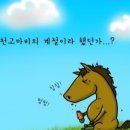 이마트포천점