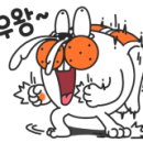 바니마켓