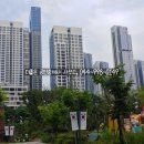 다정동 BRT 정거장 이미지