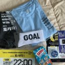 [서울] 2025 한강 나이트워크 14K 후기+준비물